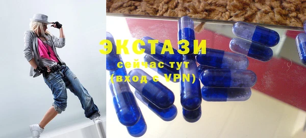 индика Новодвинск