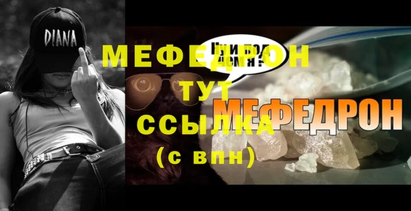 индика Новодвинск