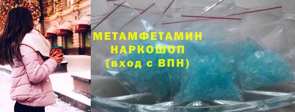 индика Новодвинск