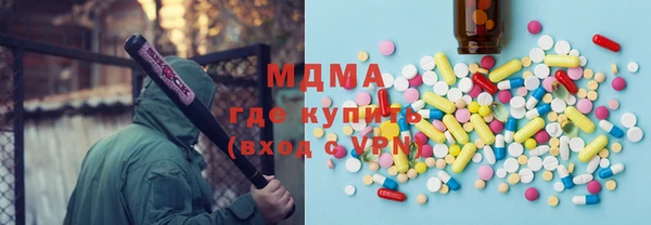 индика Новодвинск