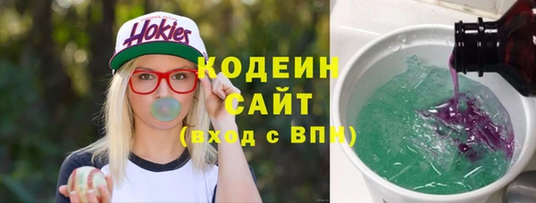индика Новодвинск