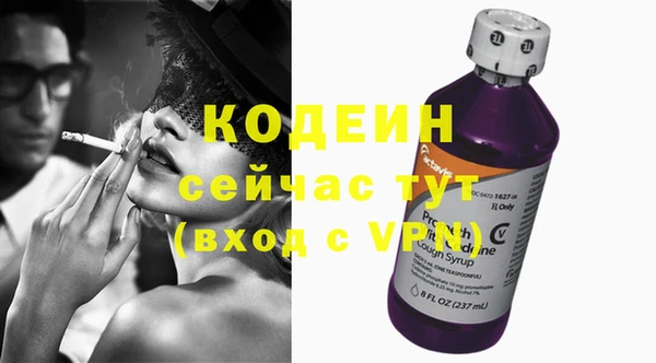 индика Новодвинск