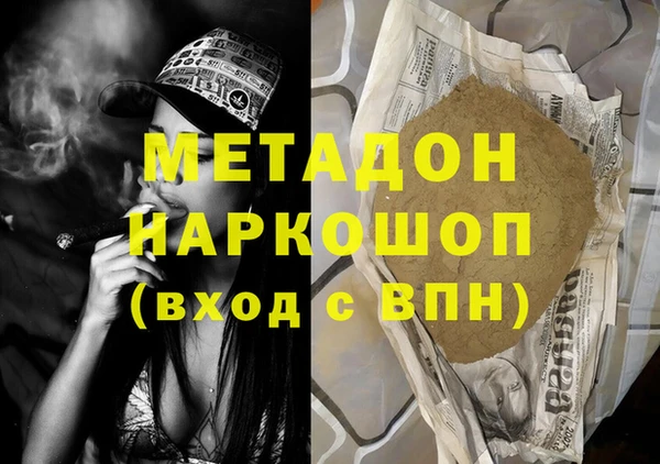 индика Новодвинск