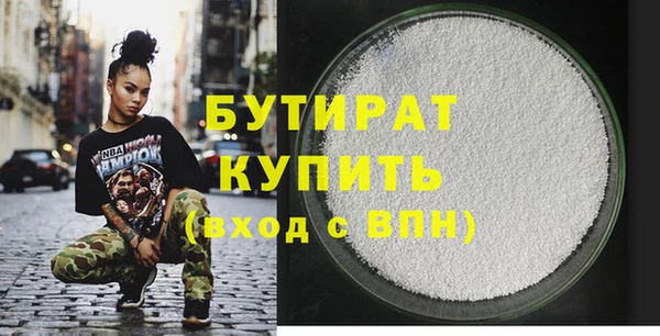 индика Новодвинск