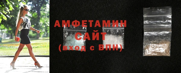 индика Новодвинск