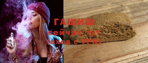 индика Новодвинск