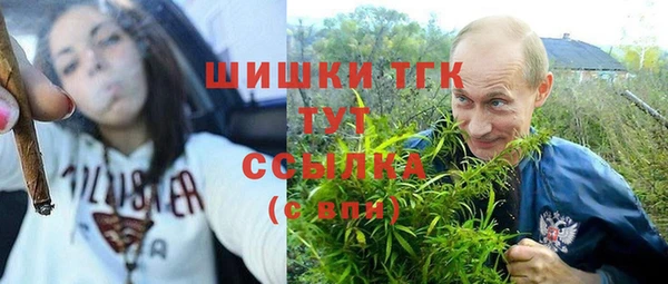 молекула духа Нефтегорск
