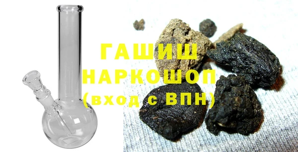 индика Новодвинск