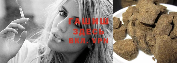 индика Новодвинск