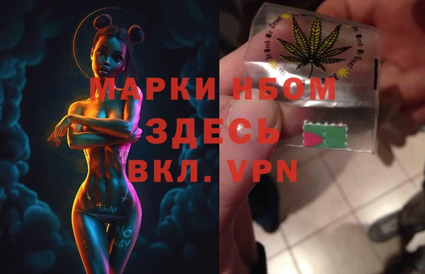 индика Новодвинск